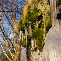 Buy canvas prints of  Icicles on the riverbank by Nigel Higson