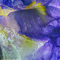 Buy canvas prints of Abstract texture by Nigel Higson