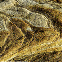 Buy canvas prints of Sandstone textures 1 by Nigel Higson