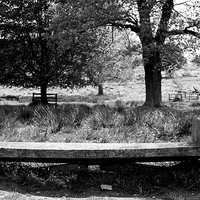 Buy canvas prints of The thinking bench. by Shaun Crutchley