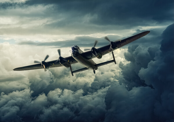 Soaring Through the Storm Picture Board by Stephen Ward