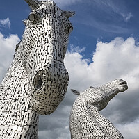 Buy canvas prints of Majestic Horse Sculptures by Stephen Ward