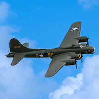 Buy canvas prints of Sally B by Stephen Ward