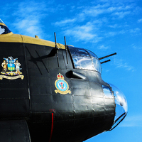 Buy canvas prints of  Just Jane just waiting to fly by Stephen Ward