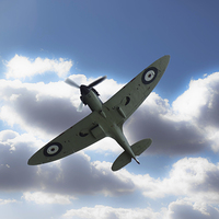 Buy canvas prints of  one of the few by Stephen Ward
