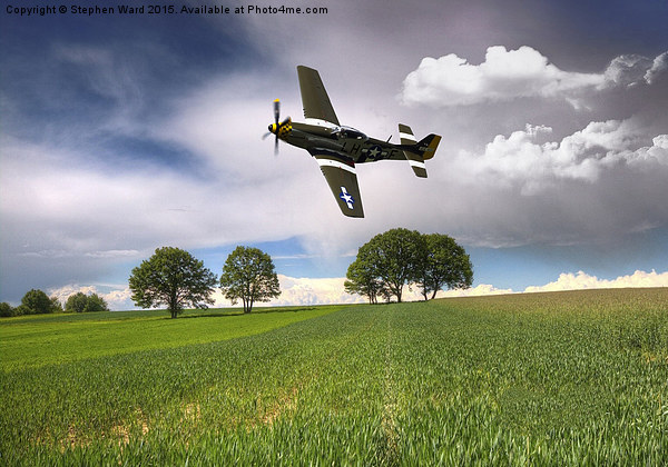  Buzzing the fields Picture Board by Stephen Ward
