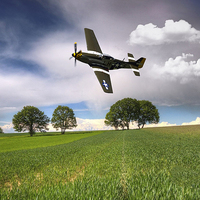 Buy canvas prints of  Buzzing the fields by Stephen Ward