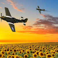 Buy canvas prints of  Sunflower Flypast by Stephen Ward