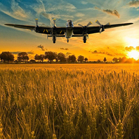 Buy canvas prints of  back to blighty by Stephen Ward