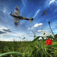 Buy canvas prints of  Always Remembered by Stephen Ward