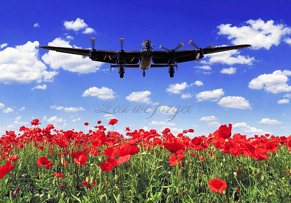 Lest we forget Picture Board by Stephen Ward