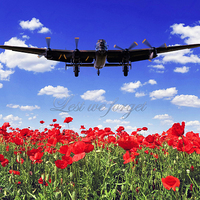 Buy canvas prints of Lest we forget by Stephen Ward