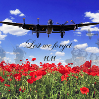 Buy canvas prints of  lest we forget by Stephen Ward