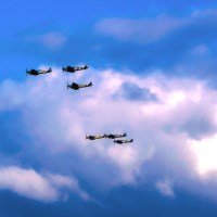 Buy canvas prints of The Last of the few by Stephen Ward