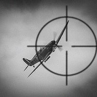 Buy canvas prints of On Target by Stephen Ward