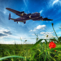 Buy canvas prints of We will remember by Stephen Ward
