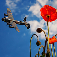 Buy canvas prints of Bomber Command Tribute by Stephen Ward