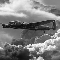 Buy canvas prints of King of the sky by Stephen Ward