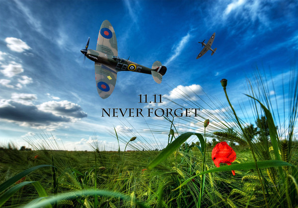 Never forget Picture Board by Stephen Ward