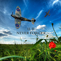 Buy canvas prints of Never forget by Stephen Ward