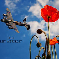 Buy canvas prints of We will Remember by Stephen Ward