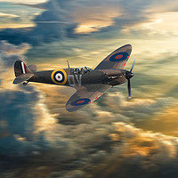 Buy canvas prints of One of the few by Stephen Ward