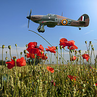 Buy canvas prints of Lest we Forget by Stephen Ward