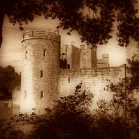 Buy canvas prints of  A view of Bodiam Castle through the trees by pristine_ images
