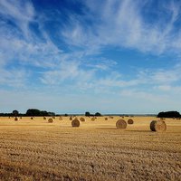 Buy canvas prints of  Harvest in Norfolk by Broadland Photography
