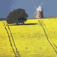 Buy canvas prints of  Halnaker windmill, Sussex by Michael Chandler
