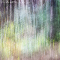 Buy canvas prints of Woodland Impression by Peter Jones