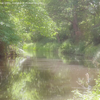 Buy canvas prints of Basingstoke Canal by Peter Jones