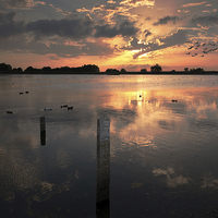 Buy canvas prints of Sunset over Startops End Reservoir  by Peter Jones