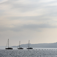 Buy canvas prints of The Solent, Isle of Wight, Early Morning.  by Peter Jones