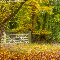 Buy canvas prints of Early Autumn colours  by Peter Jones