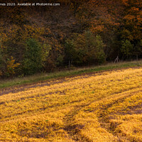 Buy canvas prints of A field in Autumn. by Peter Jones
