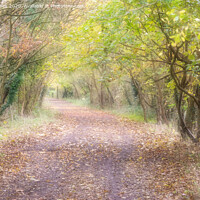 Buy canvas prints of Autumn pathway. by Peter Jones