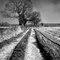 Buy canvas prints of Chilterns footpath by Peter Jones