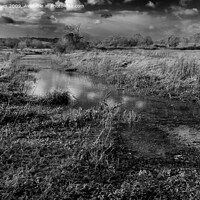 Buy canvas prints of River Misbourne, Little Missenden, Buckinghamshire. by Peter Jones