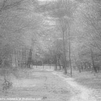 Buy canvas prints of Winter path by Peter Jones