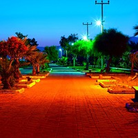 Buy canvas prints of Digital painting of colouful gardens at nightime by ken biggs