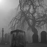 Buy canvas prints of Spooky old cemetery on a foggy day by ken biggs