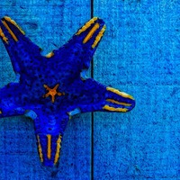 Buy canvas prints of starfish shape on blue wooden boards by ken biggs