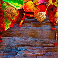 Buy canvas prints of Colorful autumn leaves  by ken biggs