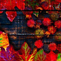 Buy canvas prints of  Colorful autumn leaves  by ken biggs
