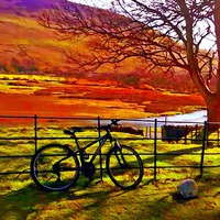 Buy canvas prints of  bicycle in a field by ken biggs