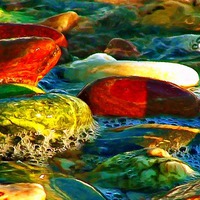 Buy canvas prints of Colorful Pebbles on the seashore  by ken biggs