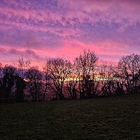 Buy canvas prints of Winter Sunset in Wensleydale  by sarah chilton