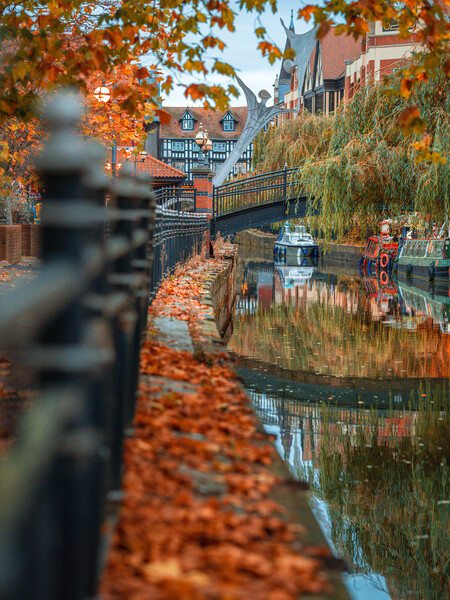 Autumn leaves on Waterside, Lincoln Picture Board by Andrew Scott