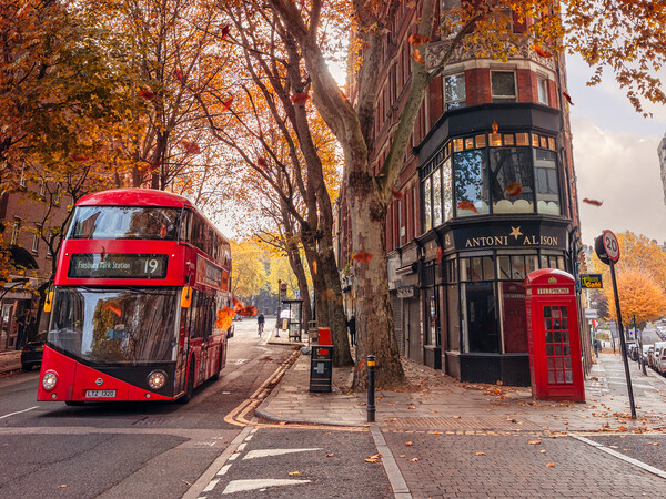 Autumn in London Picture Board by Andrew Scott
